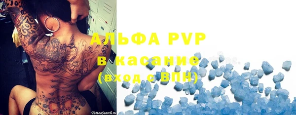 ПСИЛОЦИБИНОВЫЕ ГРИБЫ Аркадак